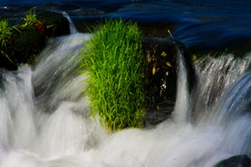 Fluss 4.jpg