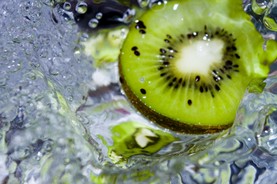 Kiwi 2.jpg